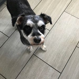 Meet your Posher, Diane